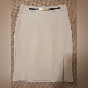 Express pencil skirt high waisted